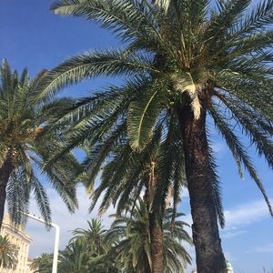 Meet your Posher, Patricia